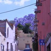  San Miguel de Allende, Mexico 2009